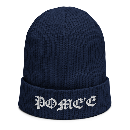 Signature organic blue beanie