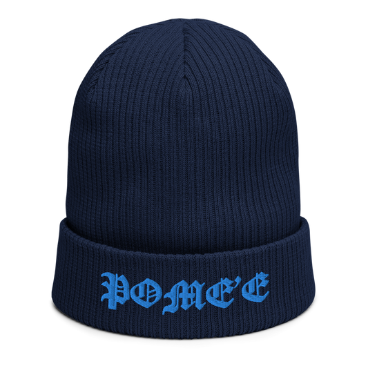 Signature ribbed beanie